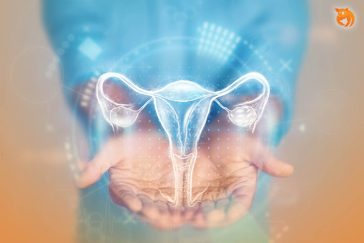 Ini 10 Cara Menjaga Kesehatan Reproduksi Wanita, Penting!
