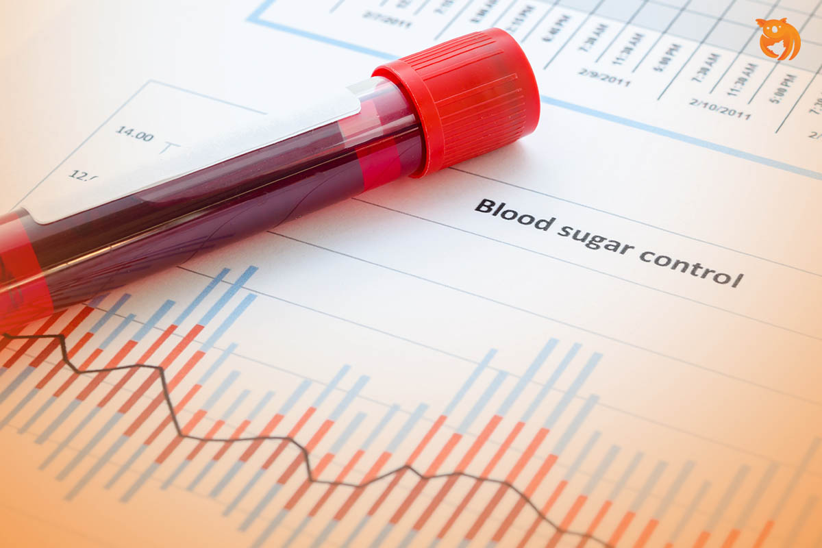 Panduan Lengkap Kadar Gula Darah Normal dan Cara Mempertahankannya